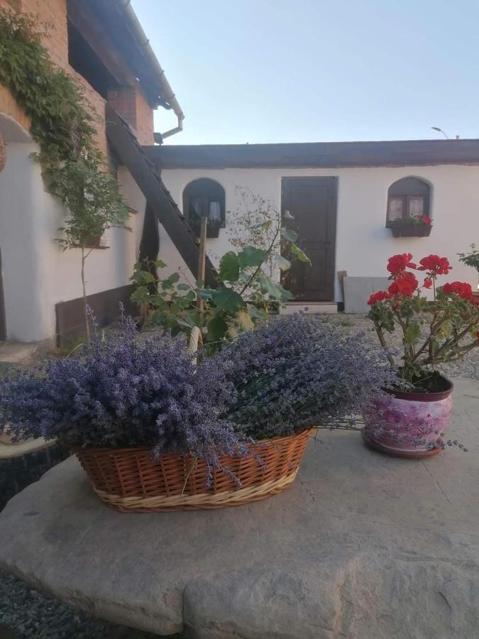 ホテル Casa Huber Carta  エクステリア 写真